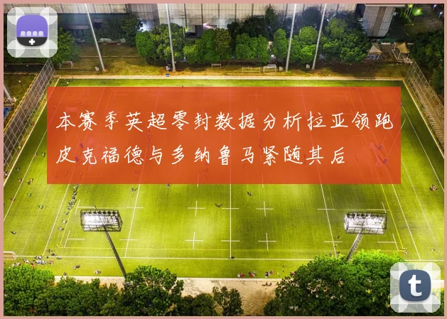 本赛季英超零封数据分析拉亚领跑皮克福德与多纳鲁马紧随其后