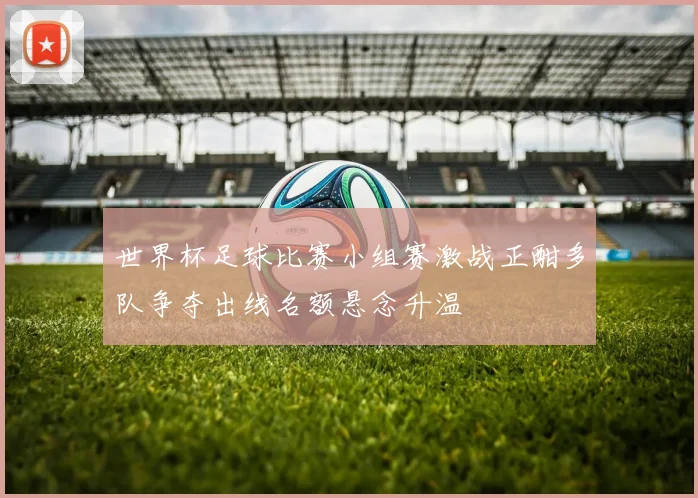 世界杯足球比赛小组赛激战正酣多队争夺出线名额悬念升温