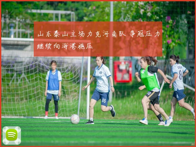 山东泰山主场力克河南队 争冠压力继续向海港施压