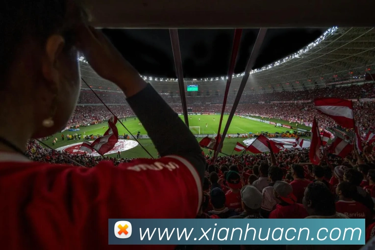 九游j9官方登录平台生态图